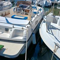 Ranieri Millenium 22.20