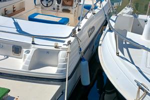 Ranieri Millenium 22.20