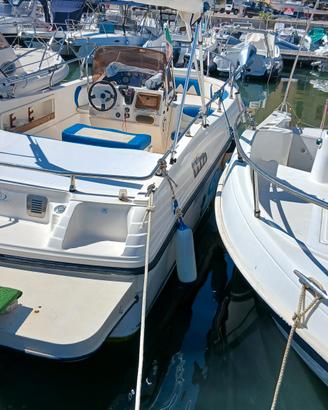 Ranieri Millenium 22.20