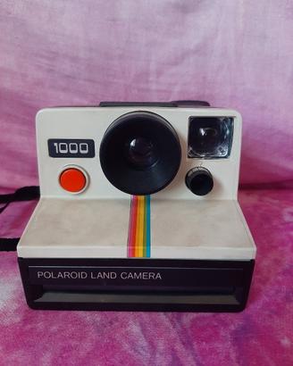 polaroid 1000 vintage euro 25