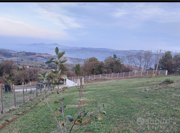 Terreno colline di meldola