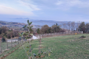 Terreno colline di meldola
