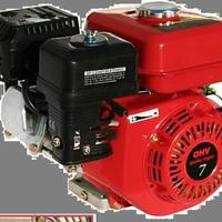Motore a benzina launtop - 202540