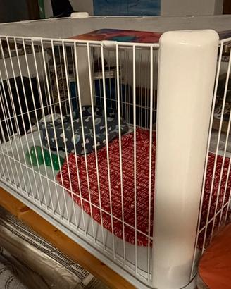 Gabbia smontabile cane taglia piccola