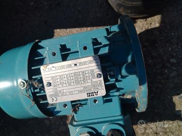 Motori elettrici e riduttori 