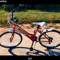 bicicletta semplice da ragazza