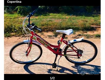 bicicletta semplice da ragazza