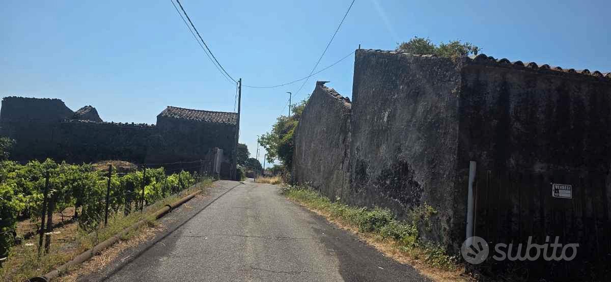 Piedimonte terreno agricolo mq. 23.387 - Vista 4