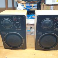 Cassa acustica Telefunken TLX2 professional