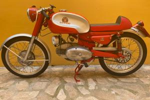 Motobi ardizio 125cm