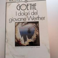 Goethe, I dolori del giovane Werther