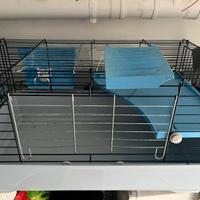 Gabbia coniglio o cavia