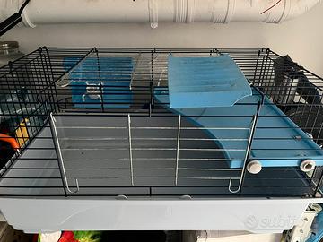 Gabbia coniglio o cavia