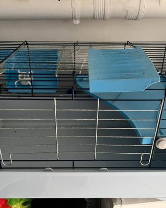 Gabbia coniglio o cavia