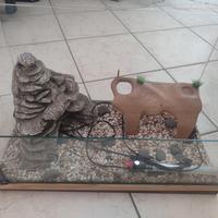 Vasca per tartarughe e pesci. Acquario