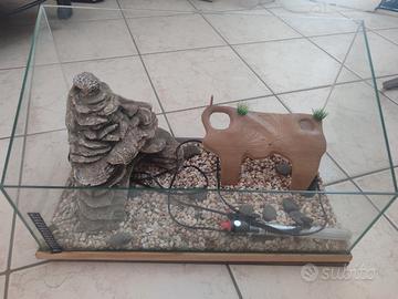 Vasca per tartarughe e pesci. Acquario