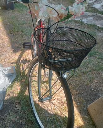 bicicletta 
