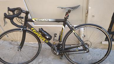 Wilier triestina Competition Escape