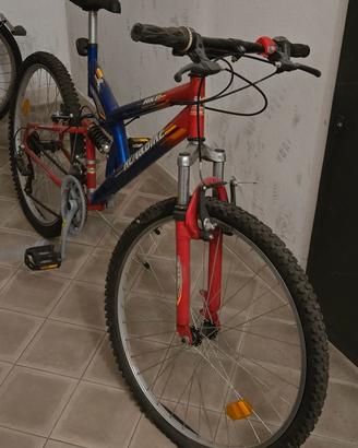 Bici per adulti usata poco tenuta sempre in garage