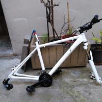 Telaio bici Mtb in Alluminio