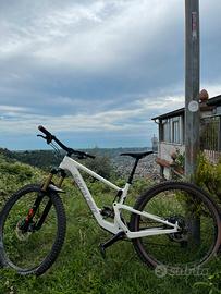 Santa Cruz Tallboy C