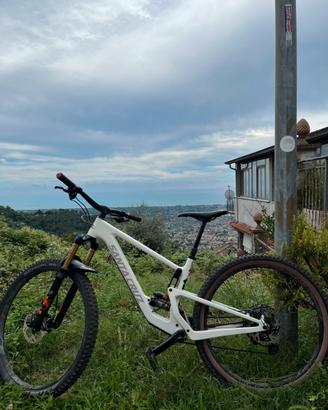 Santa Cruz Tallboy C