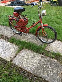 Bici a motore