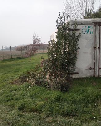 Container frigo