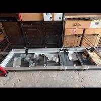 Krolik 200 gabbia conigli