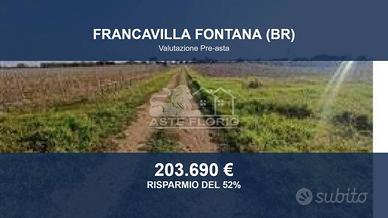 Immobile in asta di 155604 m² a Francavilla Fontan