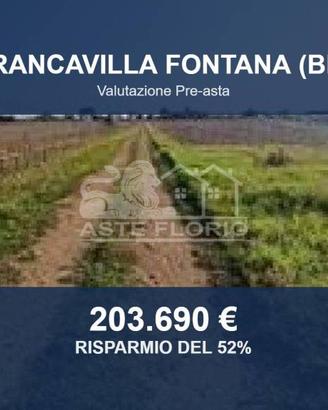 Immobile in asta di 155604 m² a Francavilla Fontan