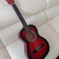 Chitarra Olveira + custodia Rok Sak + portaplettro