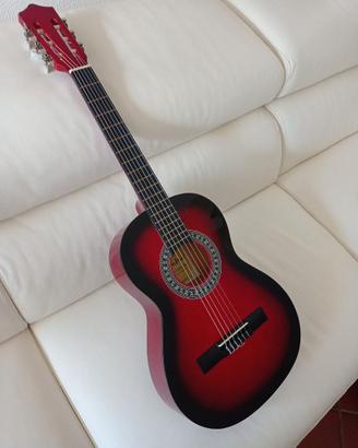 Chitarra Olveira + custodia Rok Sak + portaplettro