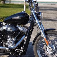 Softail standard 107