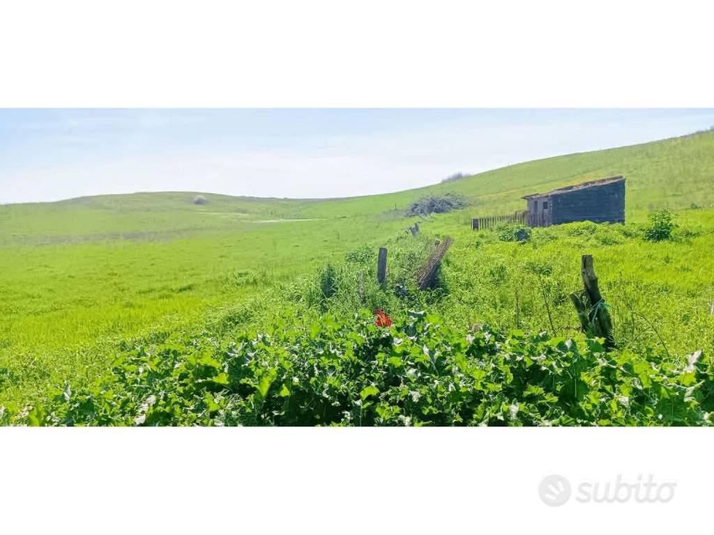 Terreno di 44170 m² a Anguillara Sabazia - Vista 5