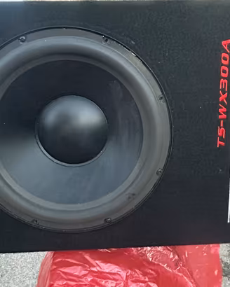 Subwoofer piooner