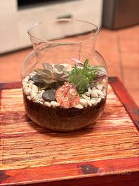 Terrarium