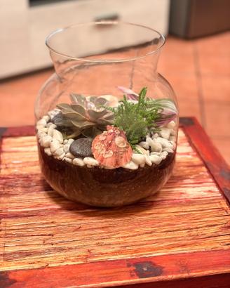 Terrarium