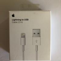 Apple Cavo caricabatteria da Lightning a USB (2 m)