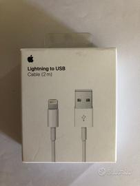 Apple Cavo caricabatteria da Lightning a USB (2 m)