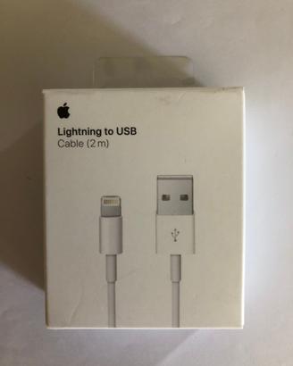 Apple Cavo caricabatteria da Lightning a USB (2 m)