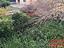 Immagine 19