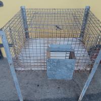 Gabbia zincata per coniglio maschio
