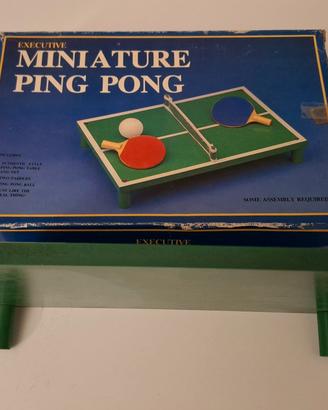 Mini tavolo da ping pong