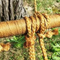 Meravigliosa AMACA in corda robusta e massiccia