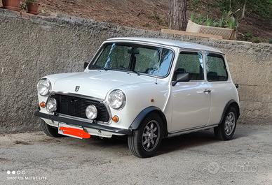 mini 1000 Austin Rover 