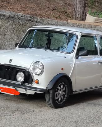 mini 1000 Austin Rover 