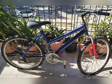 bici bicicletta