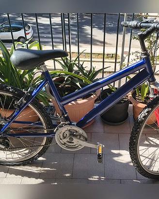 bici bicicletta