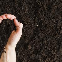 Piccolo terreno per orto